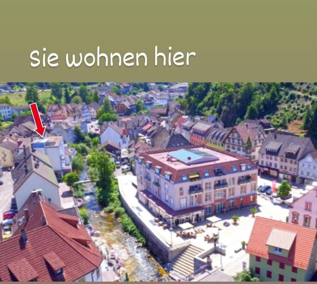 Ferienwohnung Ida Hornberg Bagian luar foto